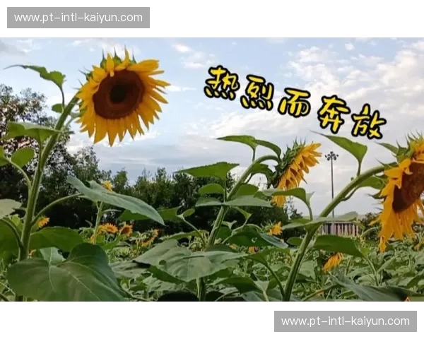 和风与意式的灵魂博弈：当极致内敛遇见热烈奔放